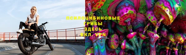 гидропоника Козельск