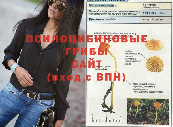 мескалин Козловка