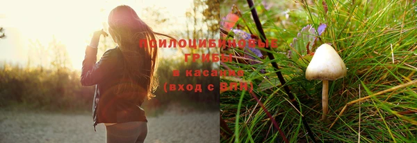 гидропоника Козельск